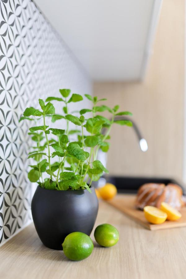 Apartamenty Meiera Krasków Εξωτερικό φωτογραφία